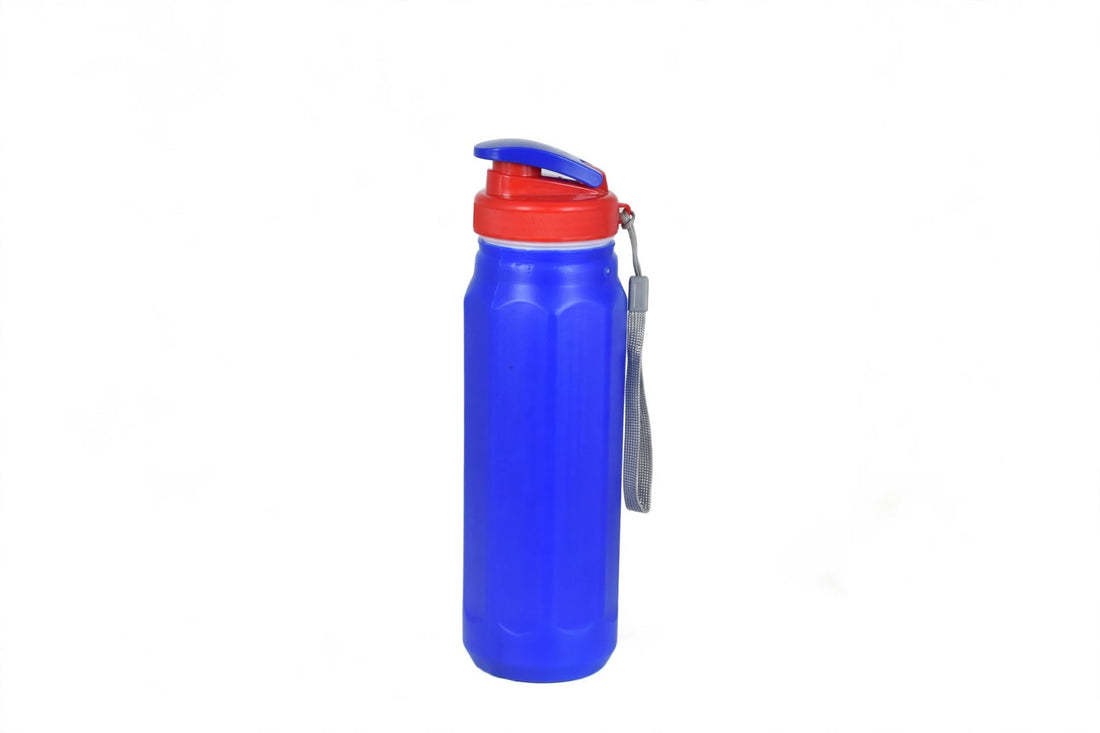Rocky Insulated Water Bottle - (500ml)