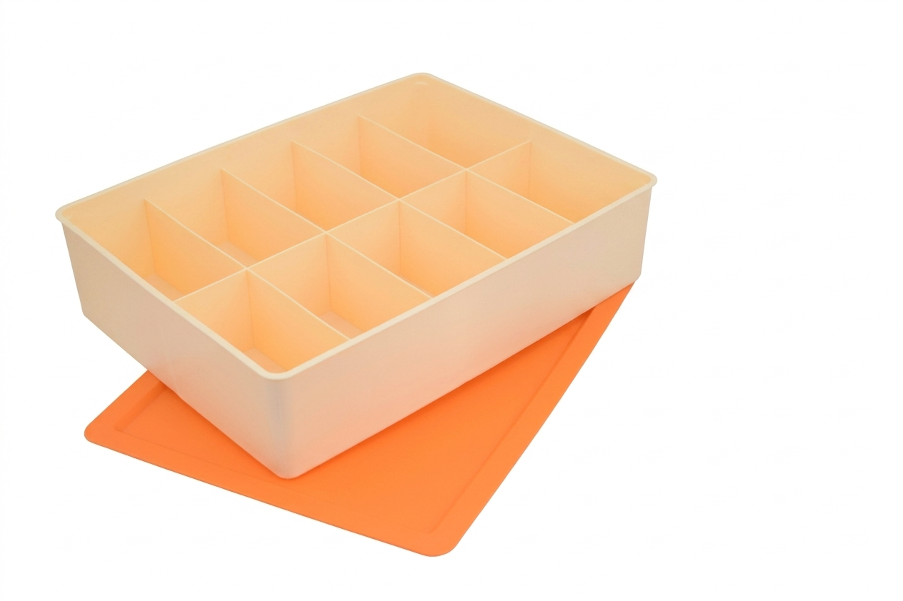Organizer with Lid | 10 Compartment Storage Box