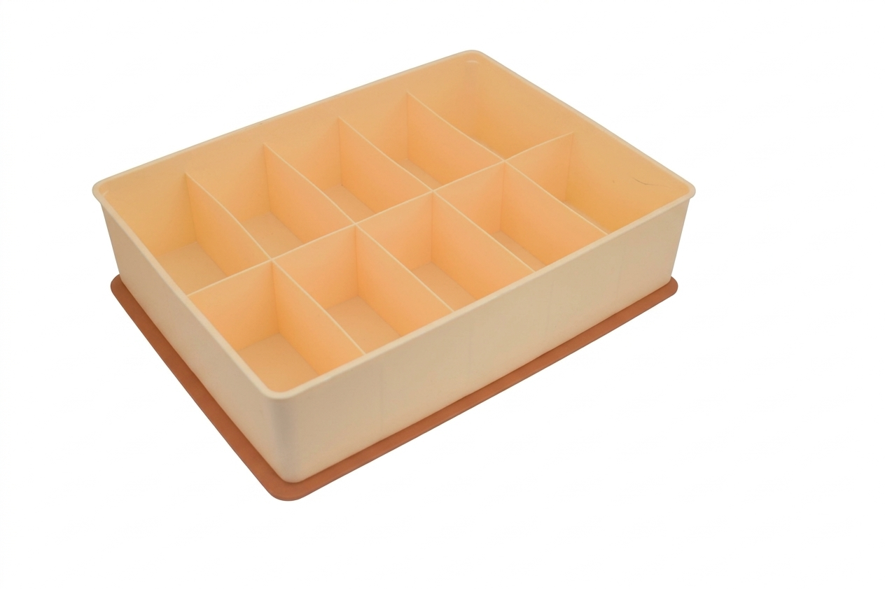 Organizer with Lid | 10 Compartment Storage Box