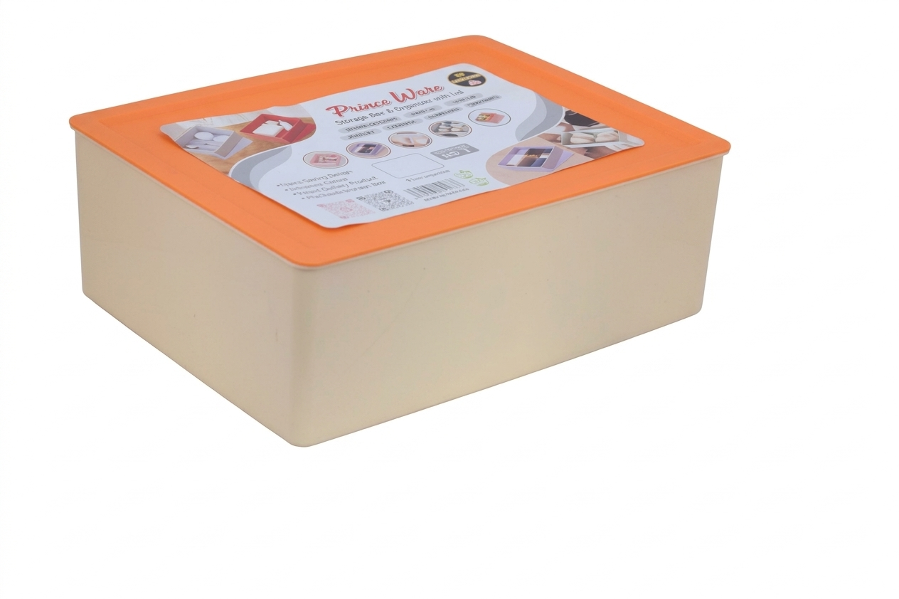 Organizer with Lid | 10 Compartment Storage Box