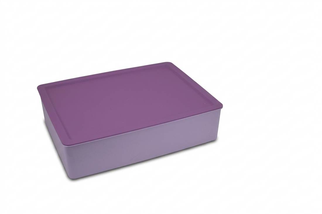 Organizer with Lid | 10 Compartment Storage Box