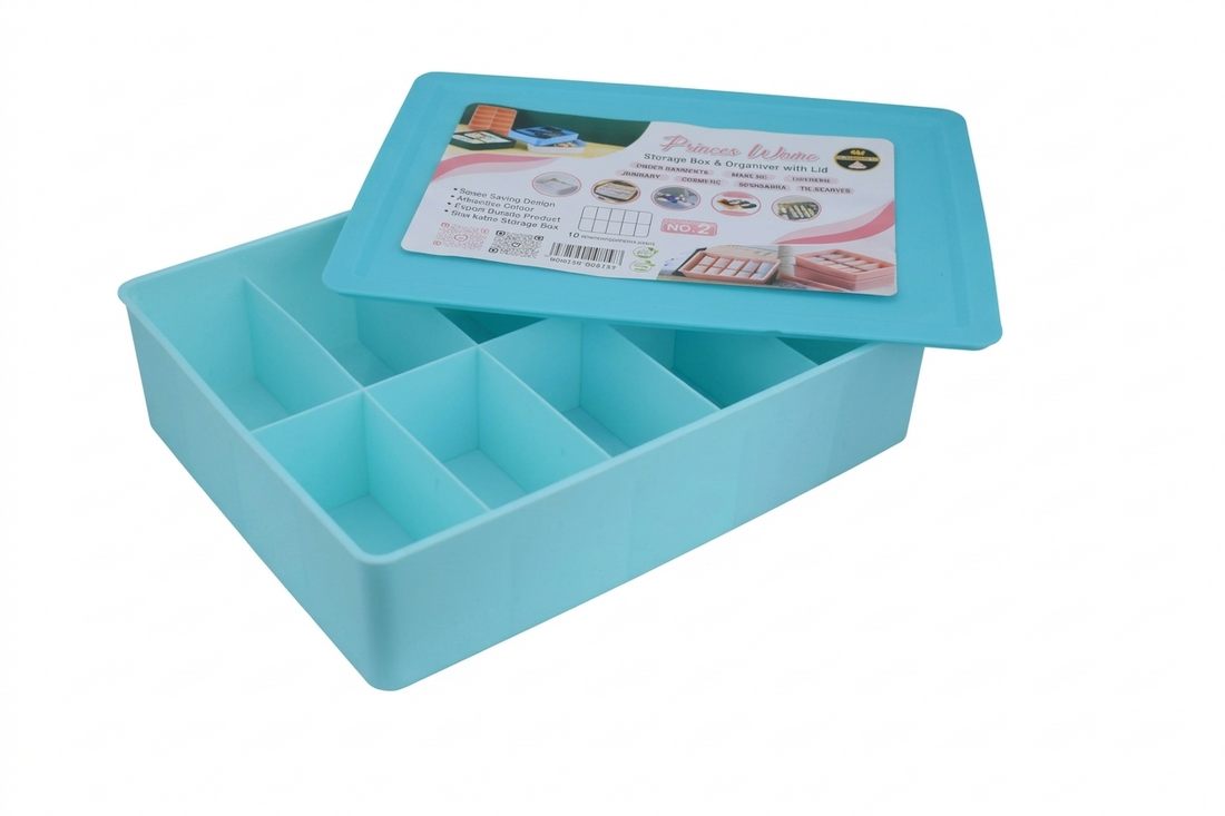 Organizer with Lid | 10 Compartment Storage Box