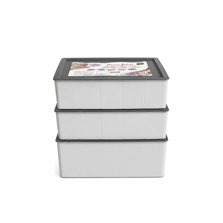 Set of Organizers with Lid | Compartments Storage Box (Pack of 3)